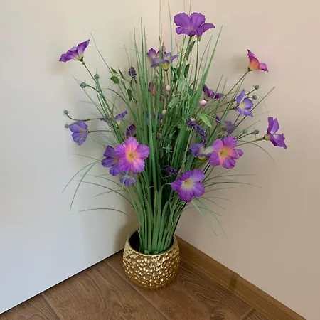 Valencia Gardens Deluxe * Несебър