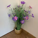 Valencia Gardens Deluxe * Nesebar