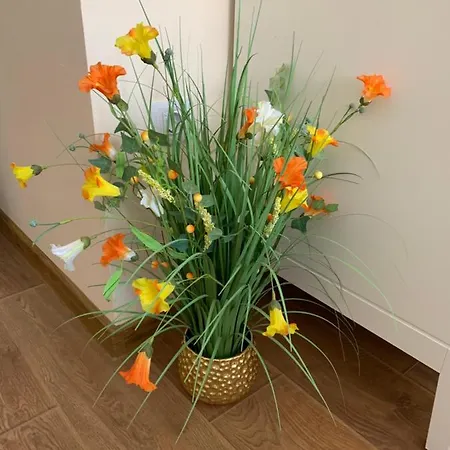 דירה Valencia Gardens Deluxe *